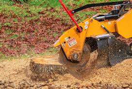 Best Lawn Maintenance Plans  in Desert View Highlands, CA