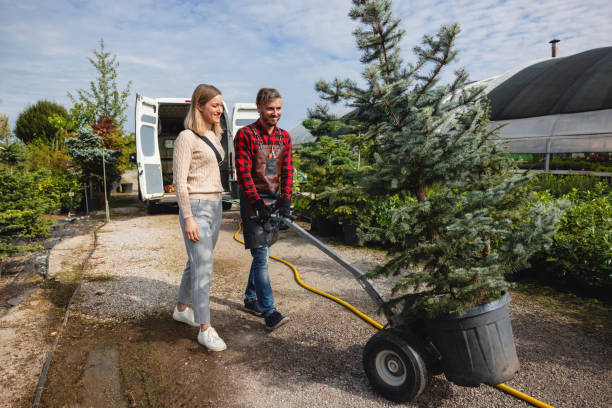 Best Seasonal Cleanup (Spring/Fall)  in Desert View Highlands, CA